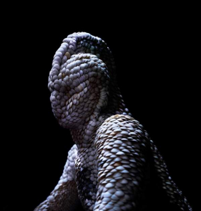 sorry, minified image is missing, click to see the bigger version