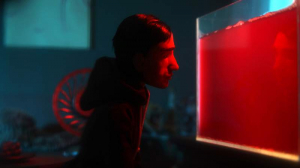 sorry, minified image is missing, click to see the bigger version