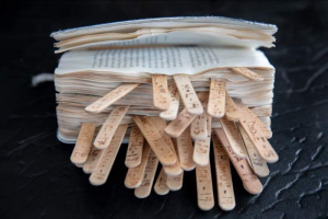 sorry, minified image is missing, click to see the bigger version