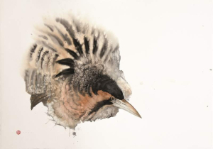 sorry, minified image is missing, click to see the bigger version